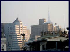 Views towards Macau Tower from St Paul's Ruins.